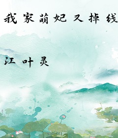 我家萌妃又掉线