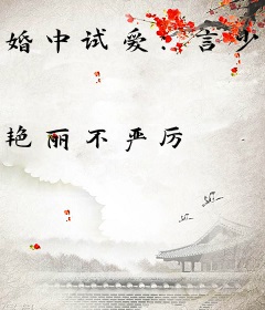 婚中试爱：言少宠妻成瘾