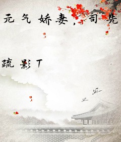 元气娇妻，司先生哪里逃