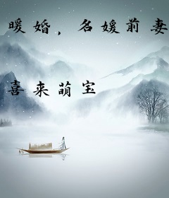 暖婚，名媛前妻