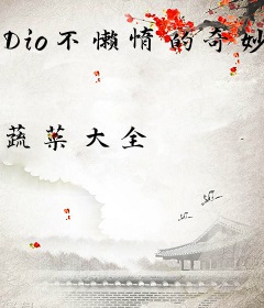 Dio不懒惰的奇妙冒险