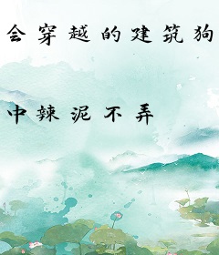 会穿越的建筑狗