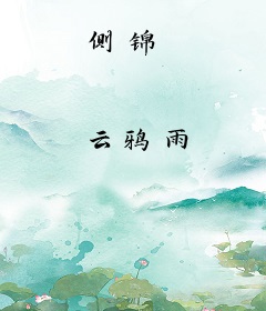 侧锦