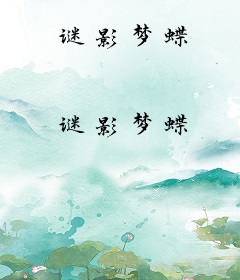谜影梦蝶
