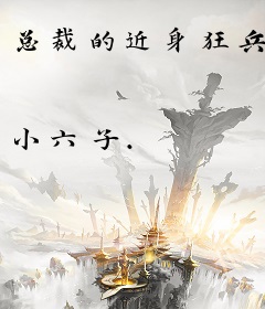 总裁的近身狂兵