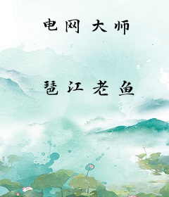 电网大师