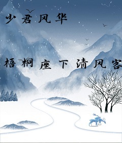 少君风华