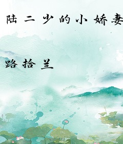 陆二少的小娇妻