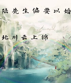 陆先生偏要以婚相许