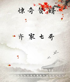 惊奇赘婿