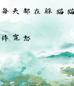 每天都在躲猫猫[快穿]