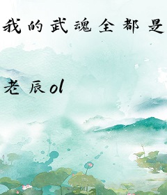 我的武魂全都是我自己变得