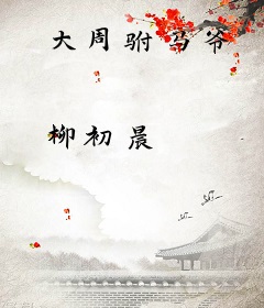 大周驸马爷