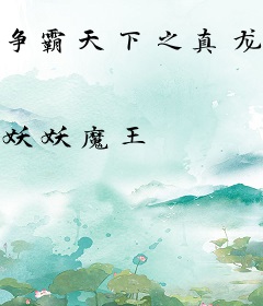 争霸天下之真龙出世