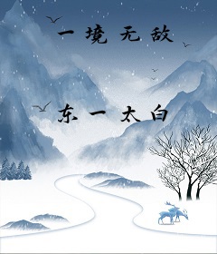 一境无敌