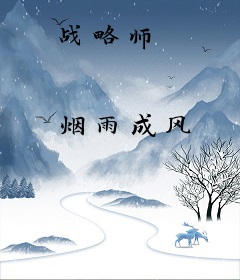 战略师
