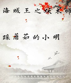 海贼王之妖术师