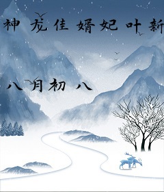 神龙佳婿妃叶新