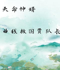 天命神婿
