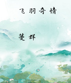 飞羽奇情