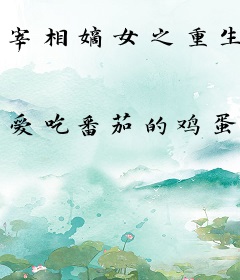 宰相嫡女之重生