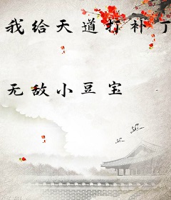我给天道打补丁