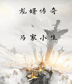 龙婿传奇
