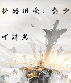 新婚旧爱：秦少宠妻请节制