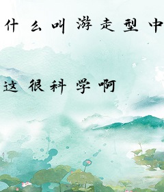 什么叫游走型中单啊