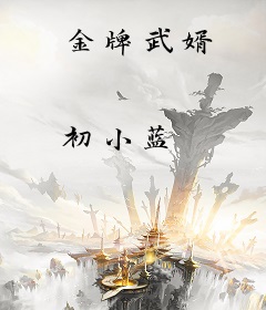 金牌武婿