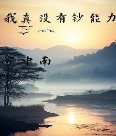 我真没有钞能力