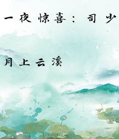 一夜惊喜：司少宠妻撩又甜