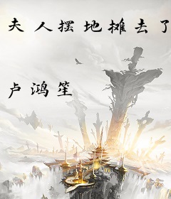 夫人摆地摊去了