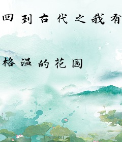 回到古代之我有网店系统