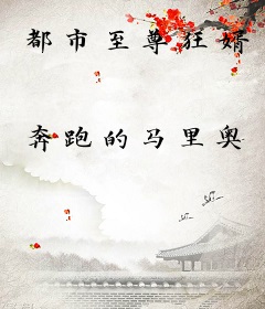 都市至尊狂婿