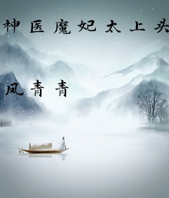 神医魔妃太上头