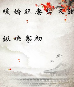 暖婚狂妻盐又甜