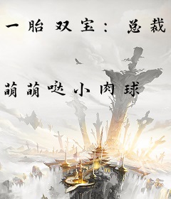 一胎双宝：总裁爹地好羞羞