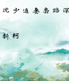 沈少追妻套路深