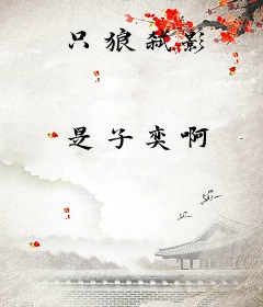 只狼弑影